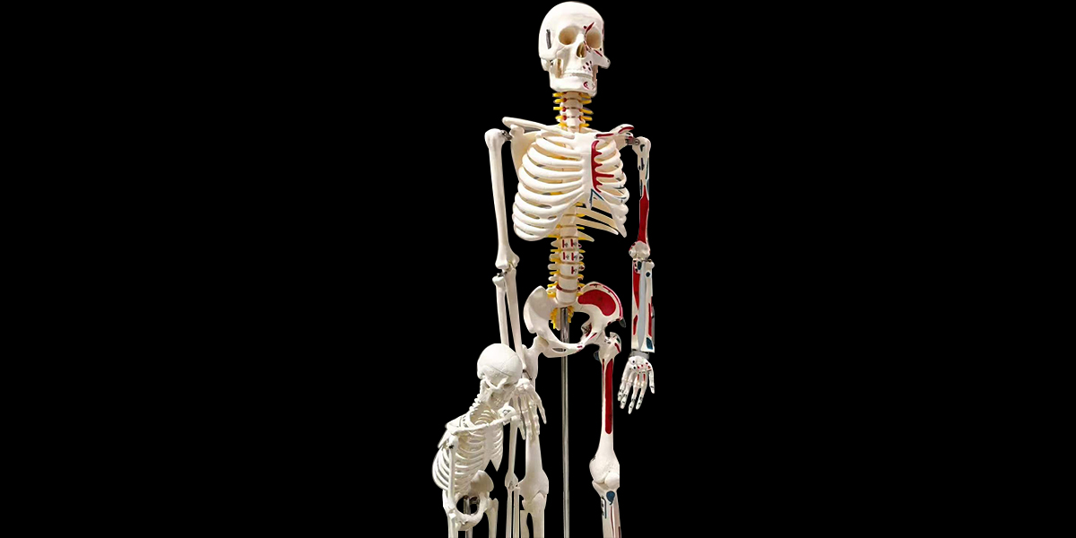 醫療器械 醫療器械